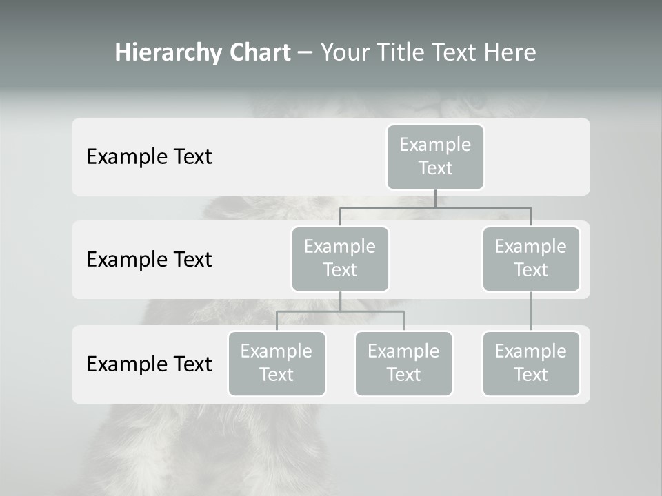 Racy Snatch Purebred PowerPoint Template