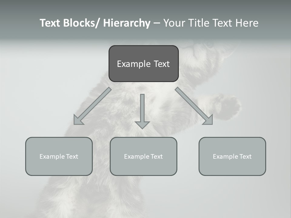 Racy Snatch Purebred PowerPoint Template