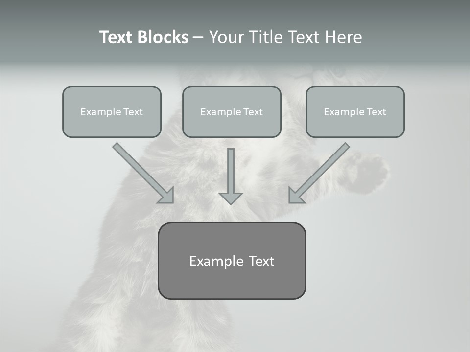 Racy Snatch Purebred PowerPoint Template
