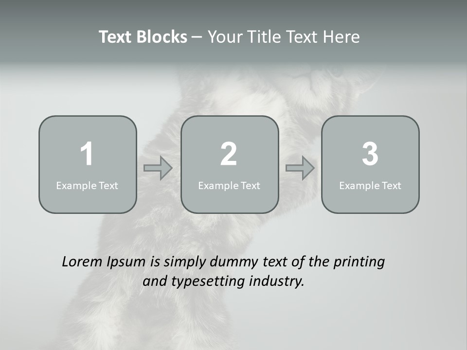 Racy Snatch Purebred PowerPoint Template