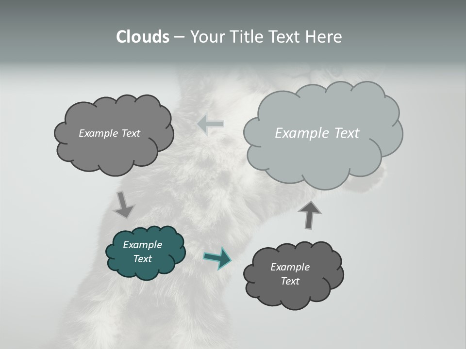 Racy Snatch Purebred PowerPoint Template