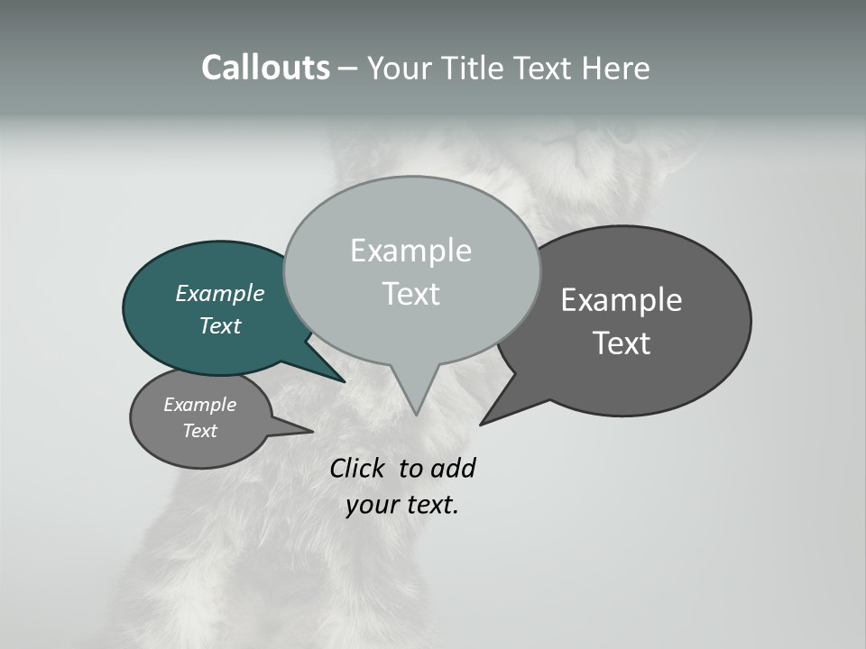 Racy Snatch Purebred PowerPoint Template