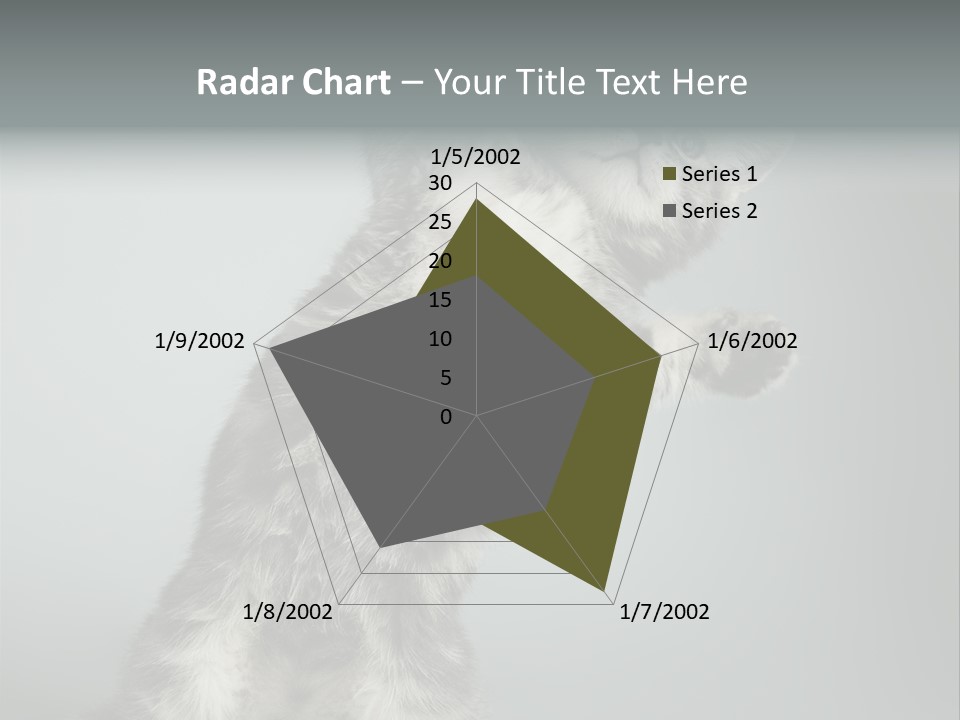 Racy Snatch Purebred PowerPoint Template