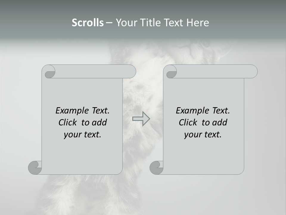 Racy Snatch Purebred PowerPoint Template