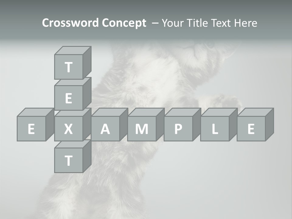 Racy Snatch Purebred PowerPoint Template