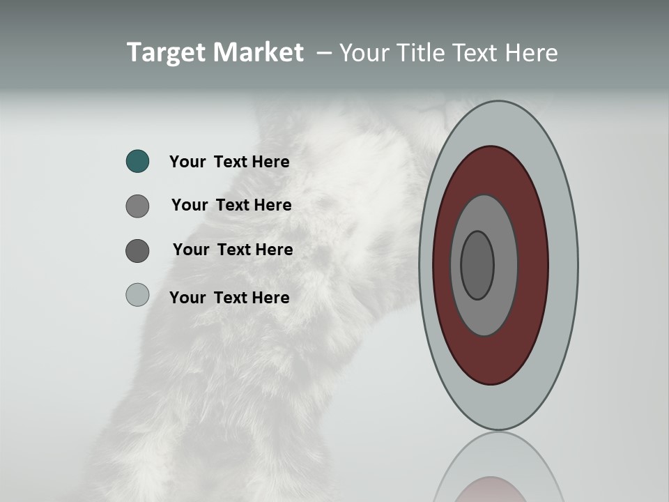 Racy Snatch Purebred PowerPoint Template