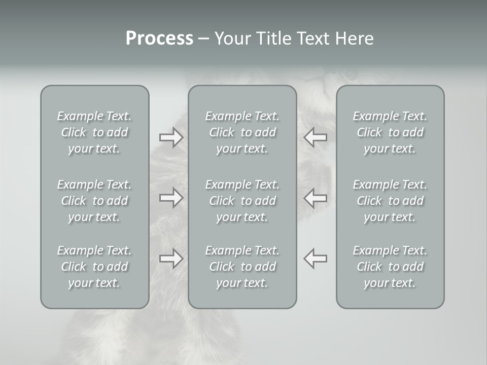 Racy Snatch Purebred PowerPoint Template