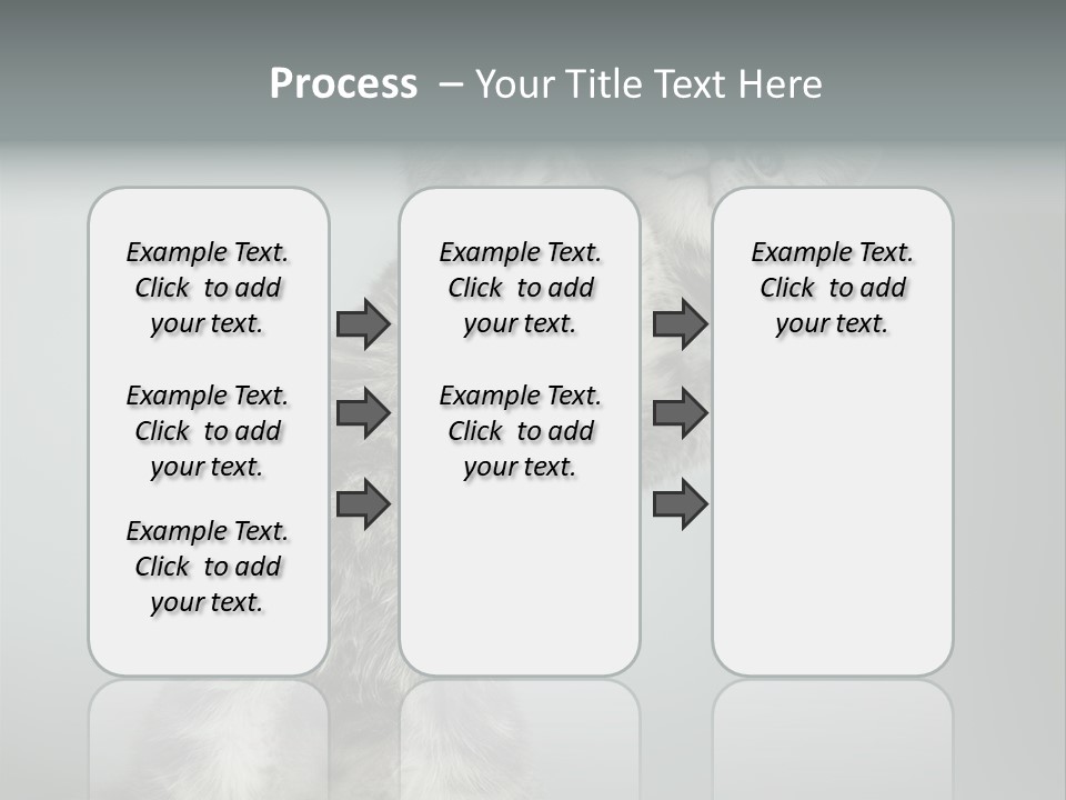 Racy Snatch Purebred PowerPoint Template