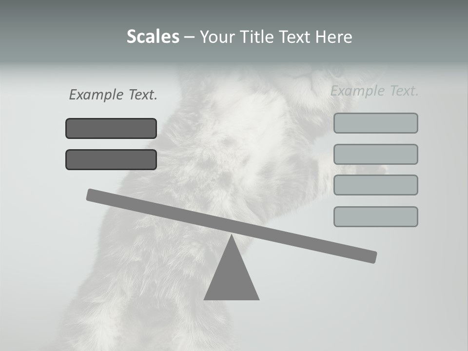 Racy Snatch Purebred PowerPoint Template