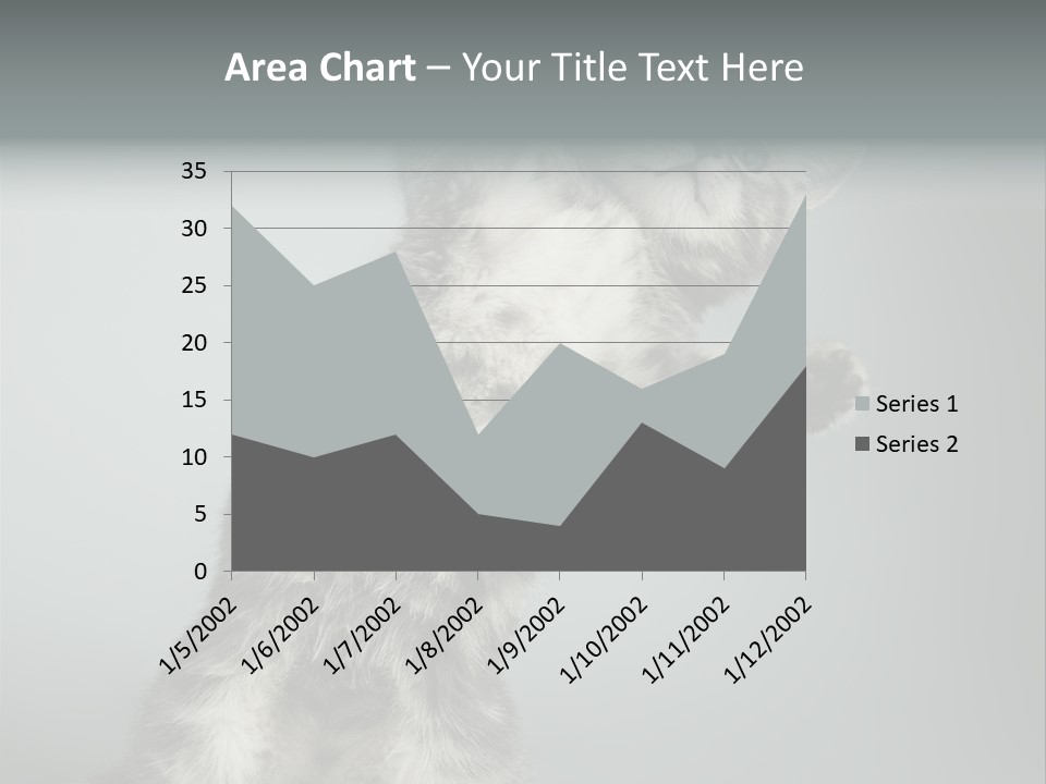 Racy Snatch Purebred PowerPoint Template