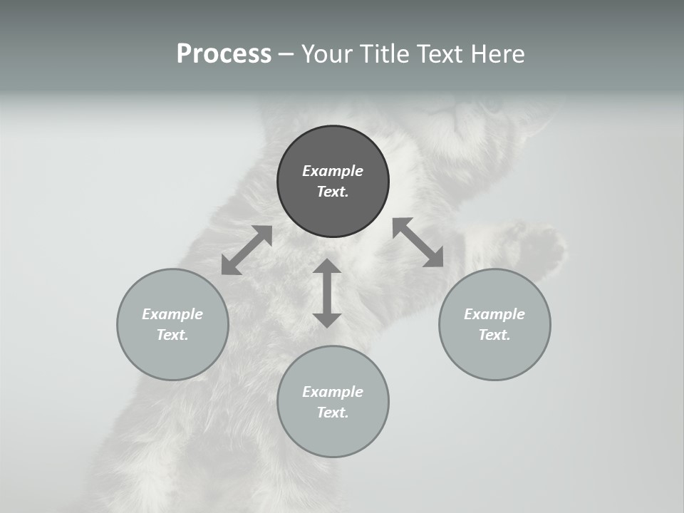 Racy Snatch Purebred PowerPoint Template