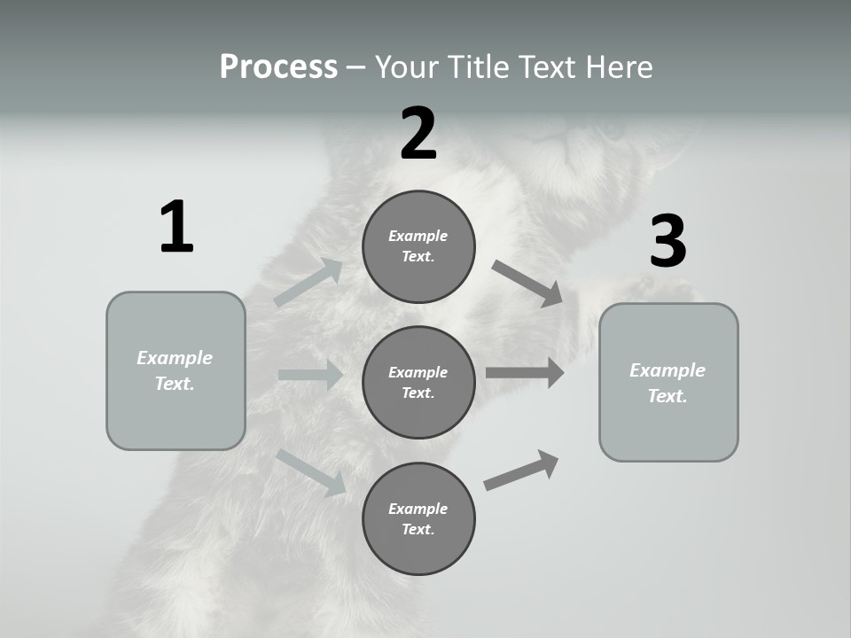 Racy Snatch Purebred PowerPoint Template