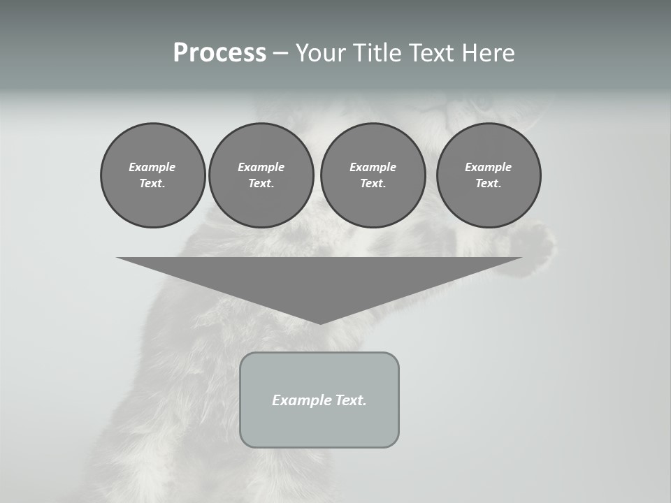 Racy Snatch Purebred PowerPoint Template