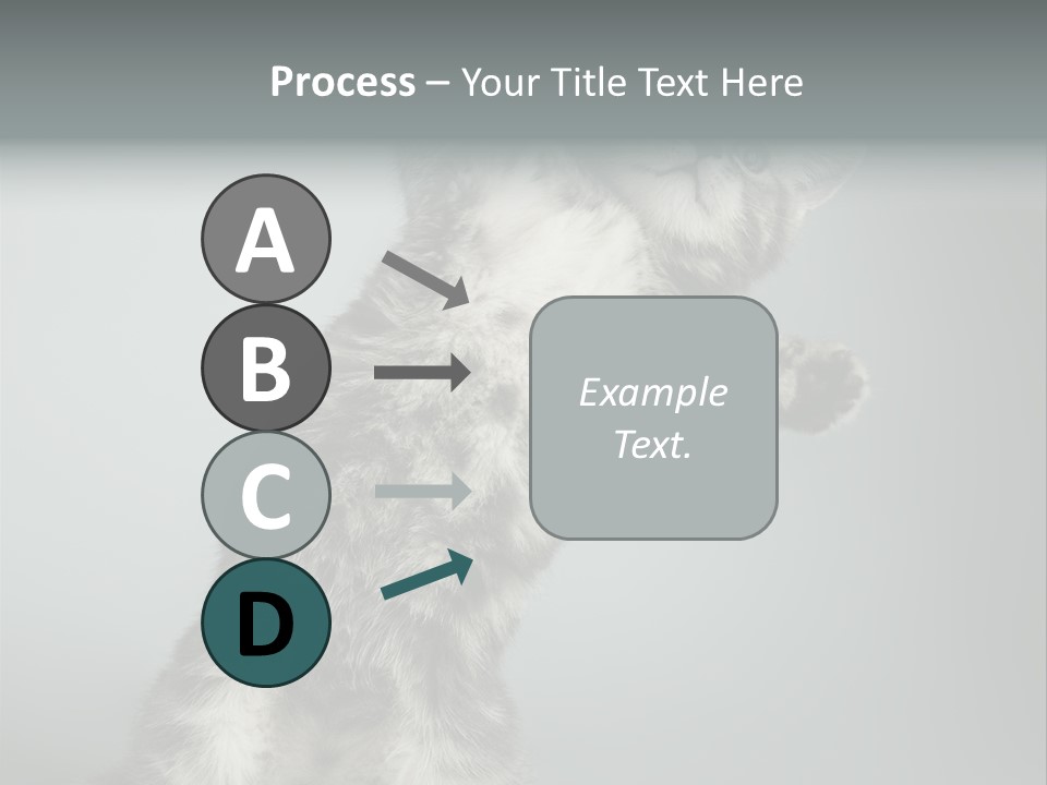 Racy Snatch Purebred PowerPoint Template