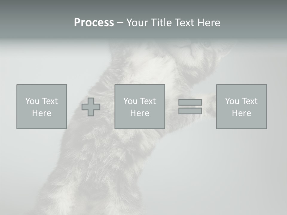 Racy Snatch Purebred PowerPoint Template