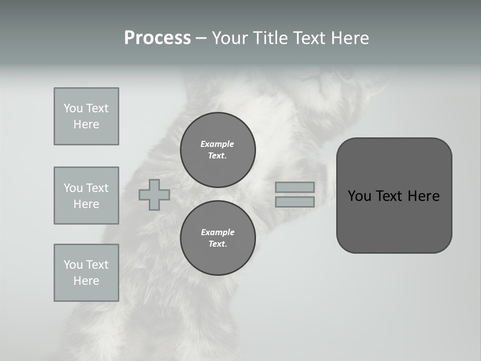 Racy Snatch Purebred PowerPoint Template