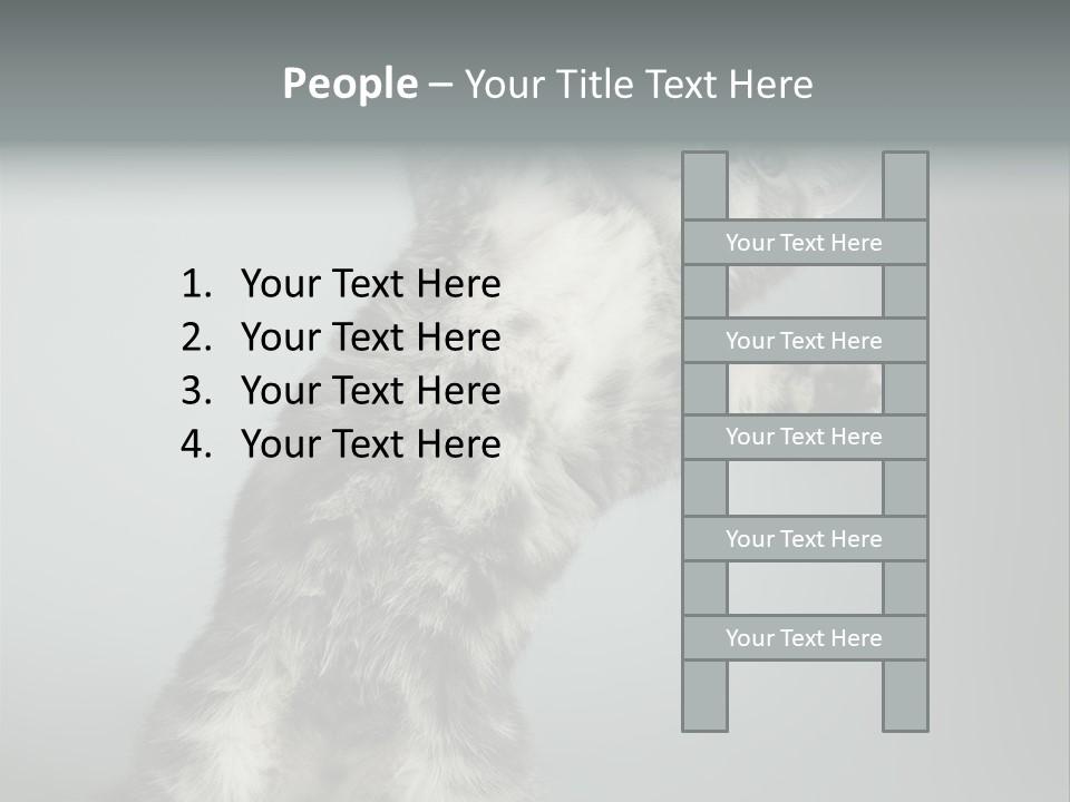 Racy Snatch Purebred PowerPoint Template