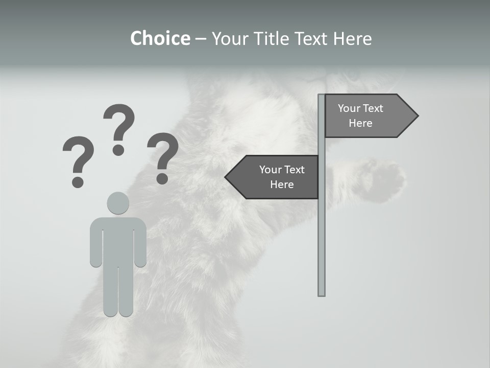 Racy Snatch Purebred PowerPoint Template