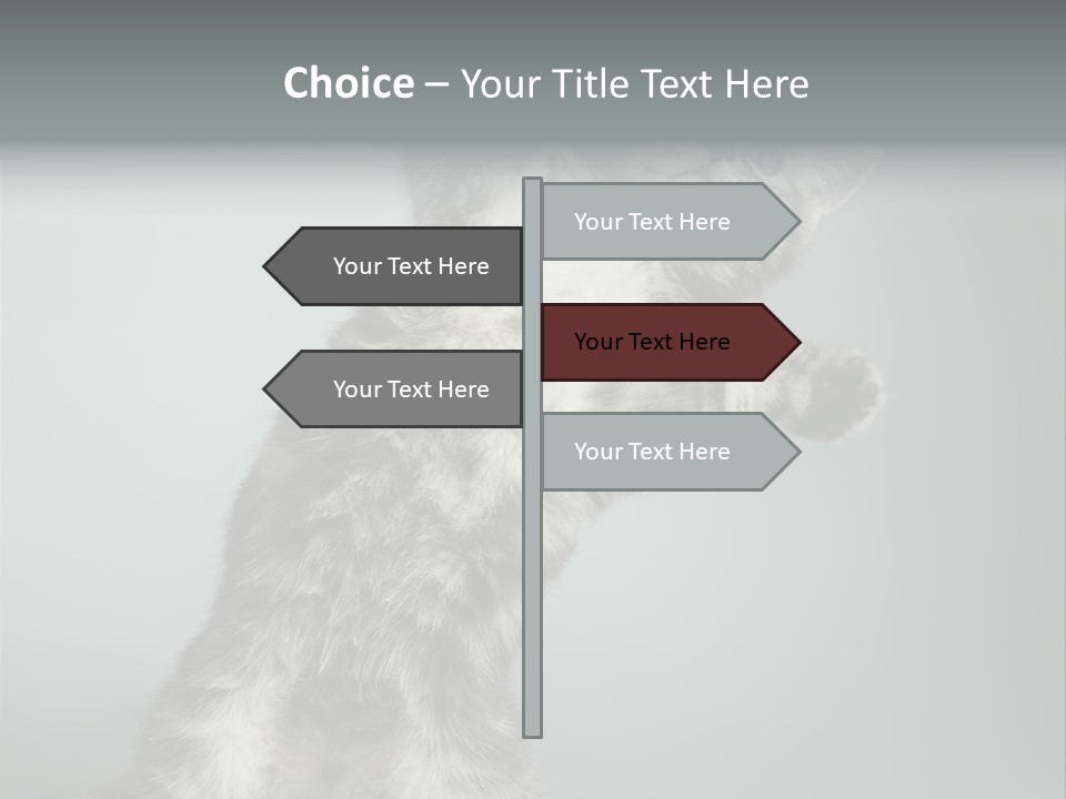 Racy Snatch Purebred PowerPoint Template