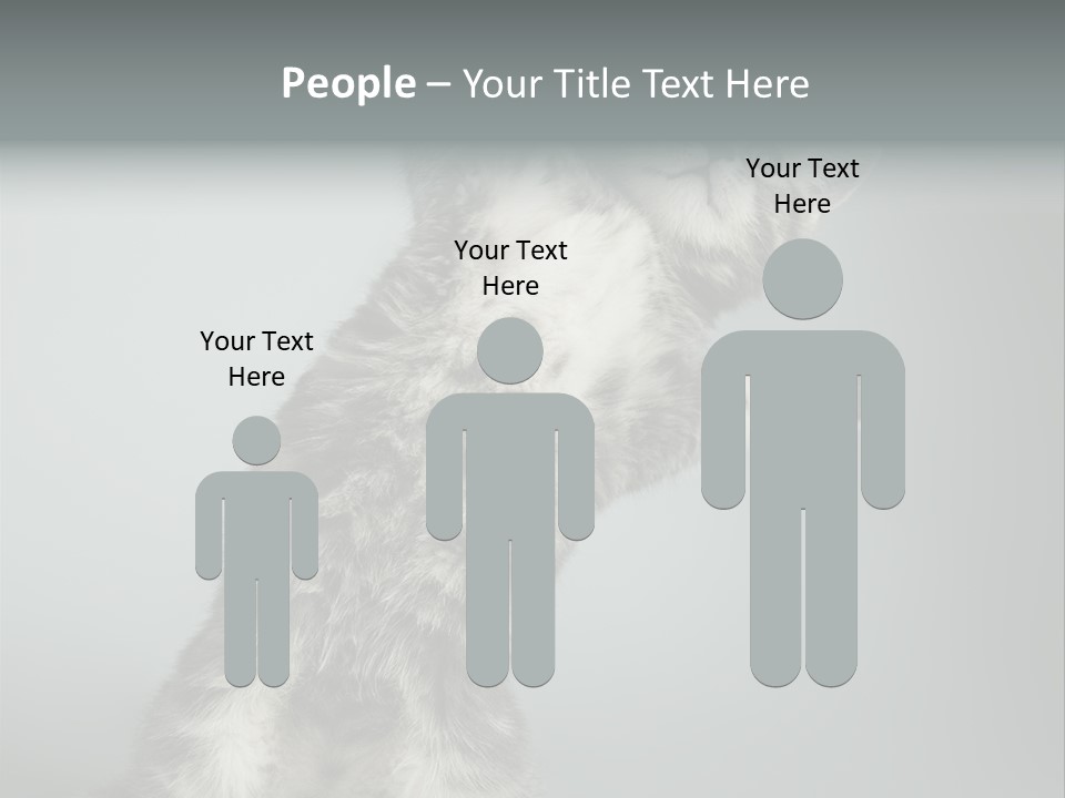 Racy Snatch Purebred PowerPoint Template