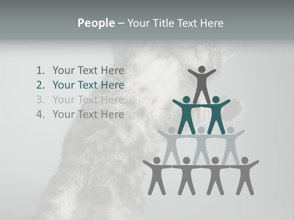 Racy Snatch Purebred PowerPoint Template