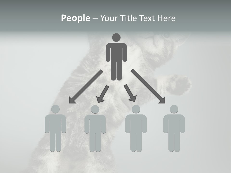 Racy Snatch Purebred PowerPoint Template