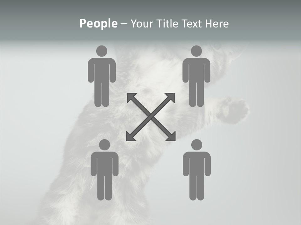 Racy Snatch Purebred PowerPoint Template