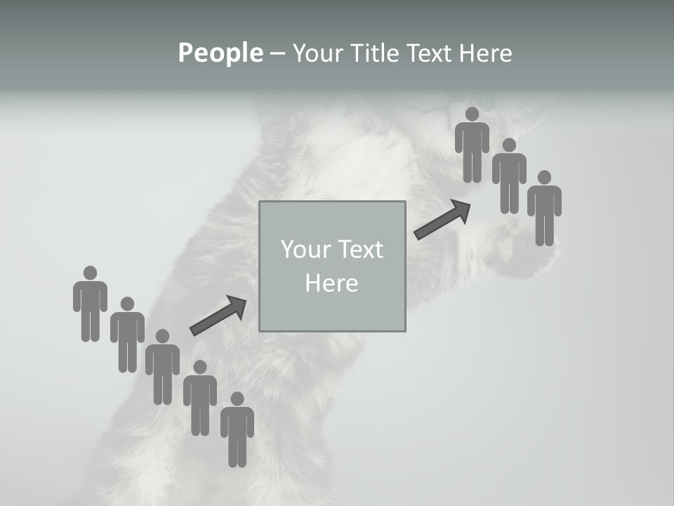 Racy Snatch Purebred PowerPoint Template