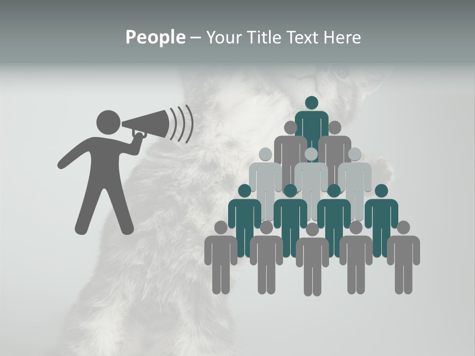 Racy Snatch Purebred PowerPoint Template