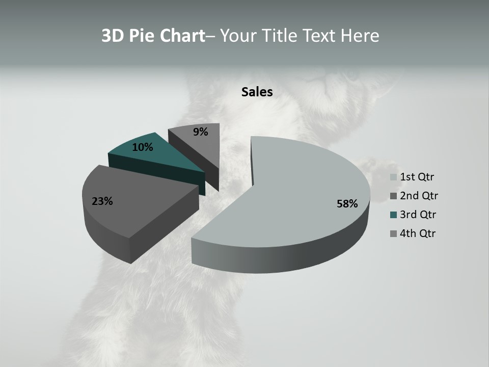 Racy Snatch Purebred PowerPoint Template