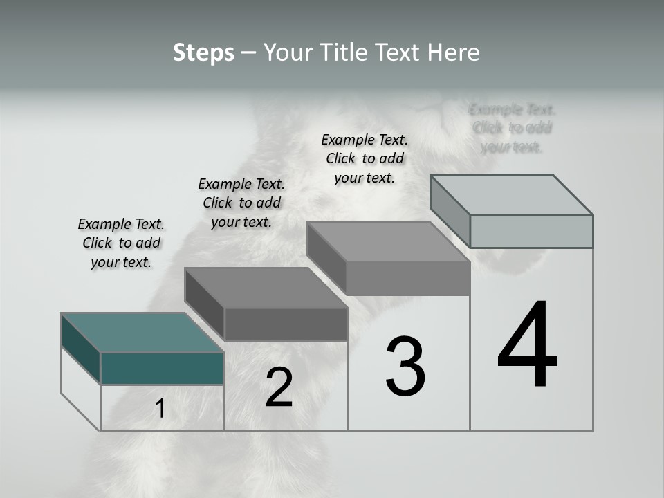 Racy Snatch Purebred PowerPoint Template