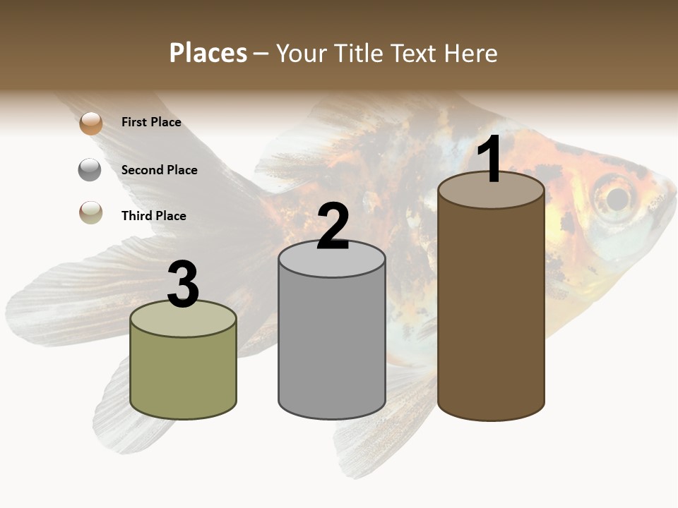 Animal Background Motion PowerPoint Template