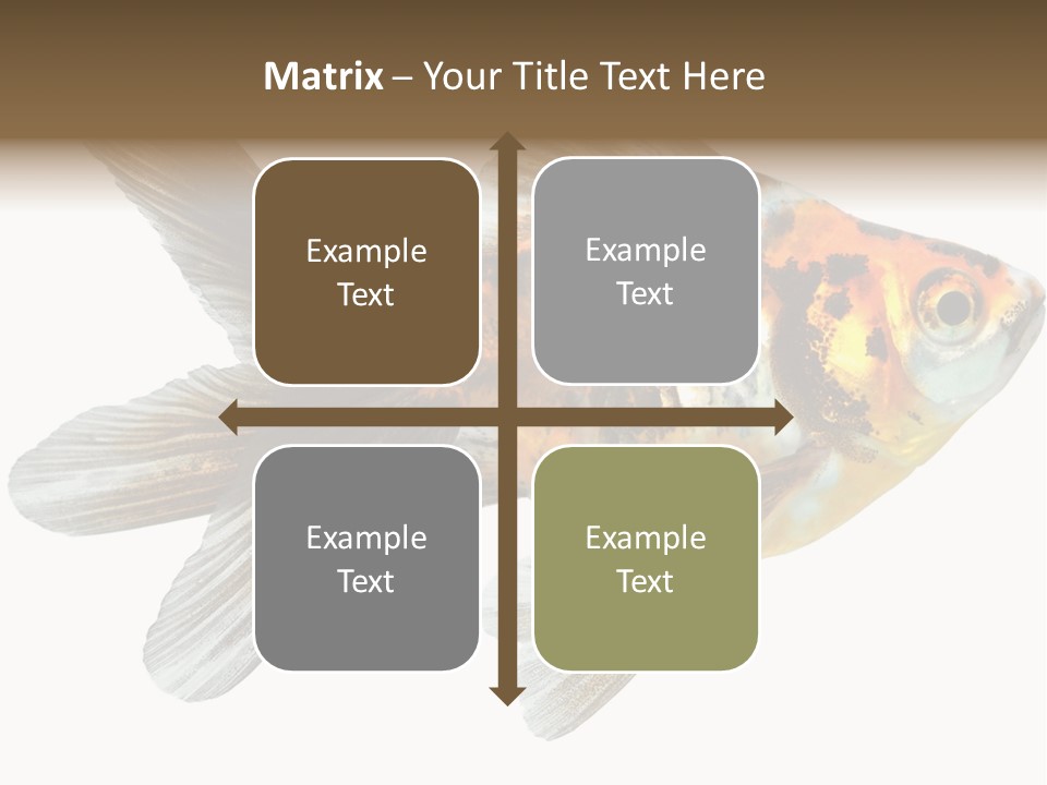 Animal Background Motion PowerPoint Template