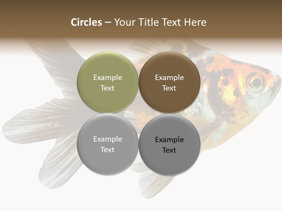 Animal Background Motion PowerPoint Template