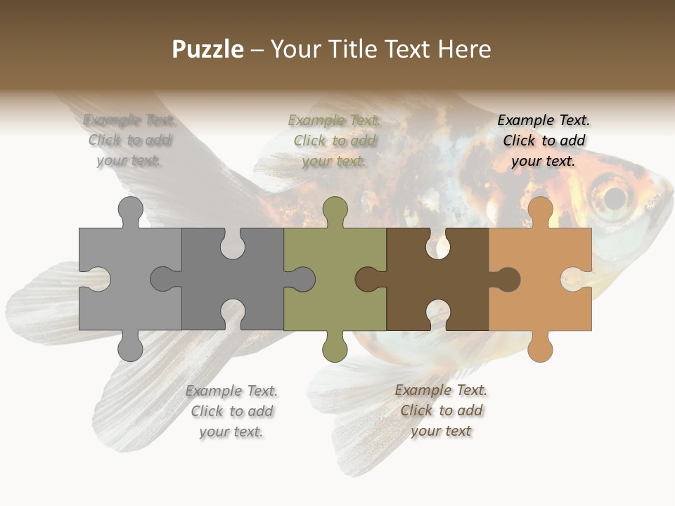 Animal Background Motion PowerPoint Template