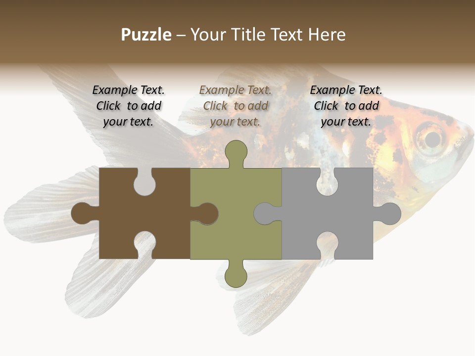 Animal Background Motion PowerPoint Template