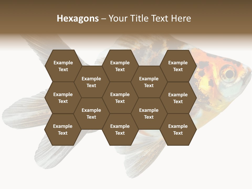 Animal Background Motion PowerPoint Template