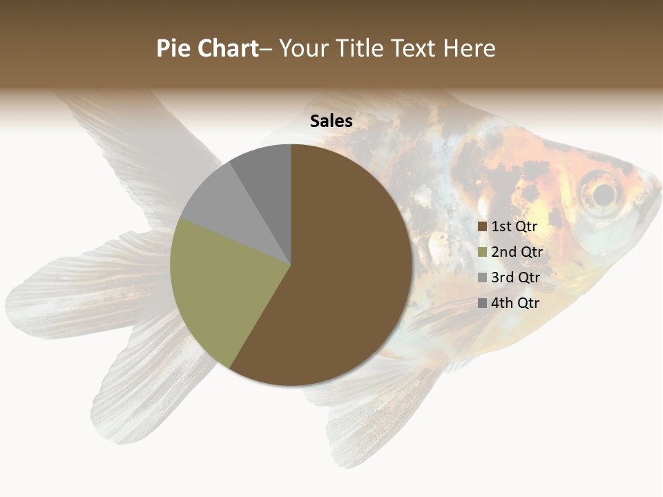 Animal Background Motion PowerPoint Template