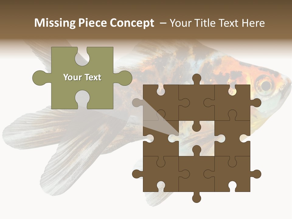 Animal Background Motion PowerPoint Template