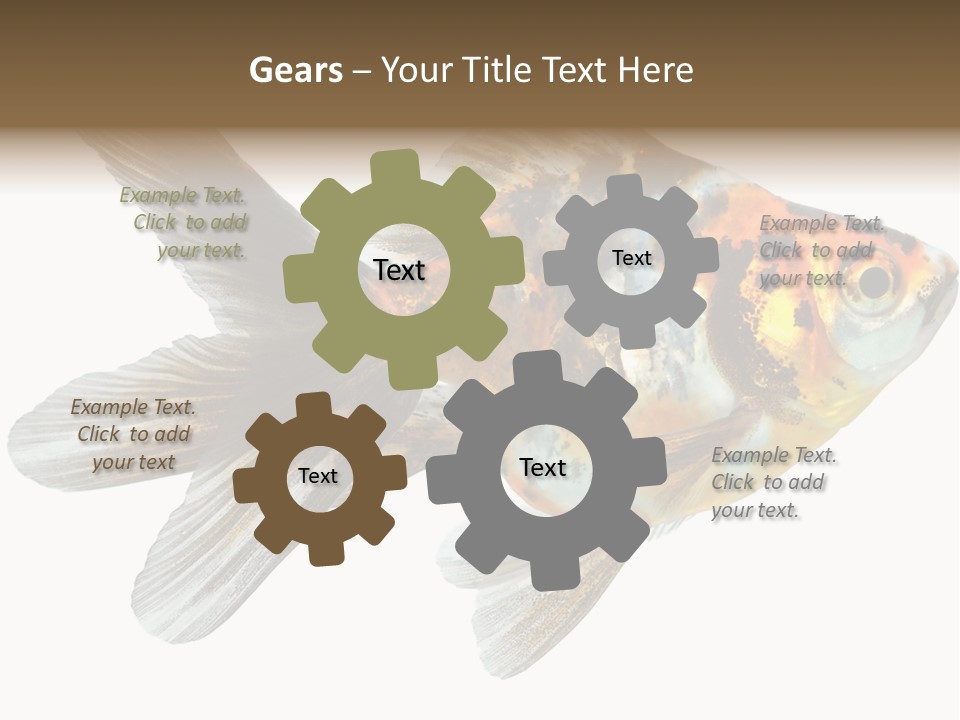 Animal Background Motion PowerPoint Template