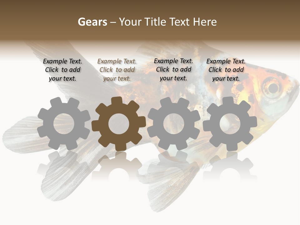 Animal Background Motion PowerPoint Template