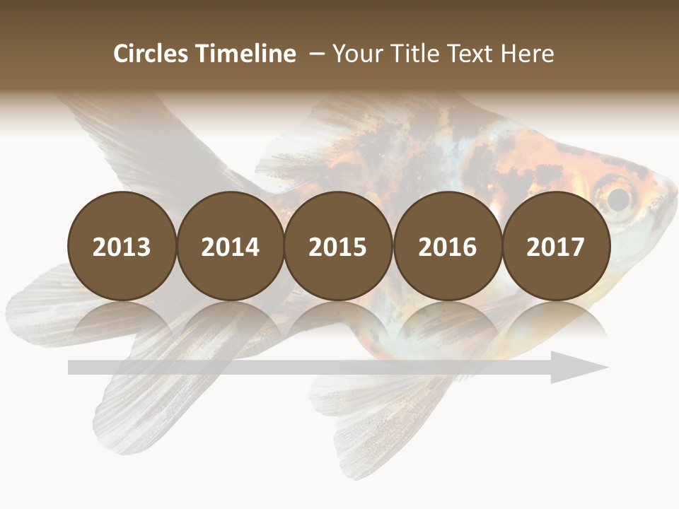 Animal Background Motion PowerPoint Template