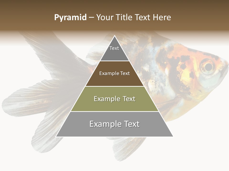 Animal Background Motion PowerPoint Template