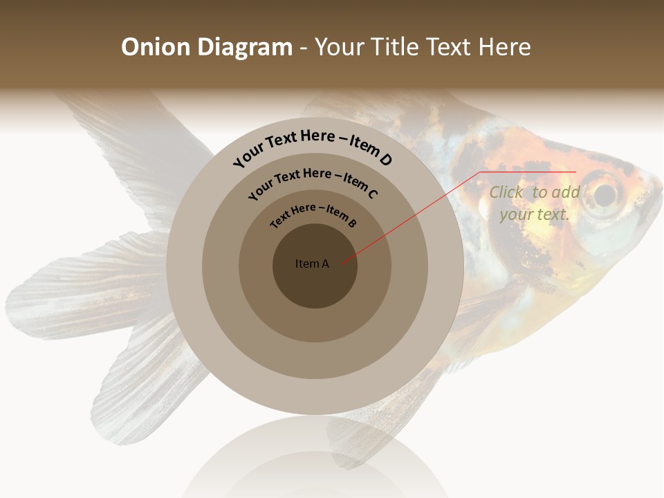 Animal Background Motion PowerPoint Template