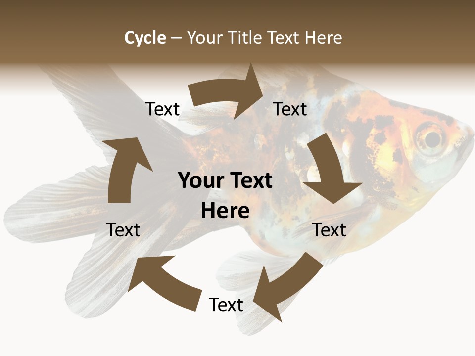 Animal Background Motion PowerPoint Template