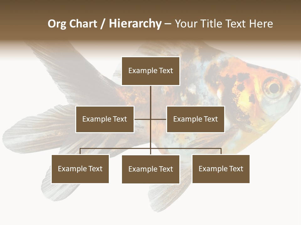 Animal Background Motion PowerPoint Template