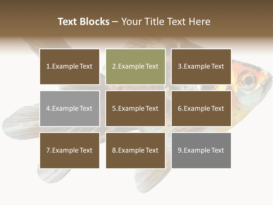 Animal Background Motion PowerPoint Template