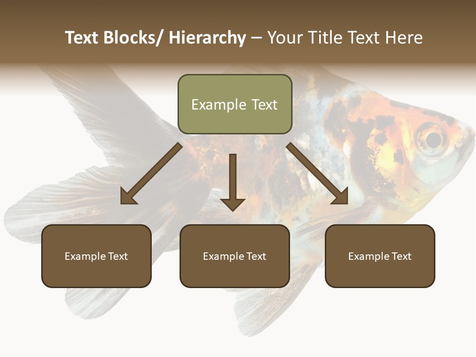 Animal Background Motion PowerPoint Template