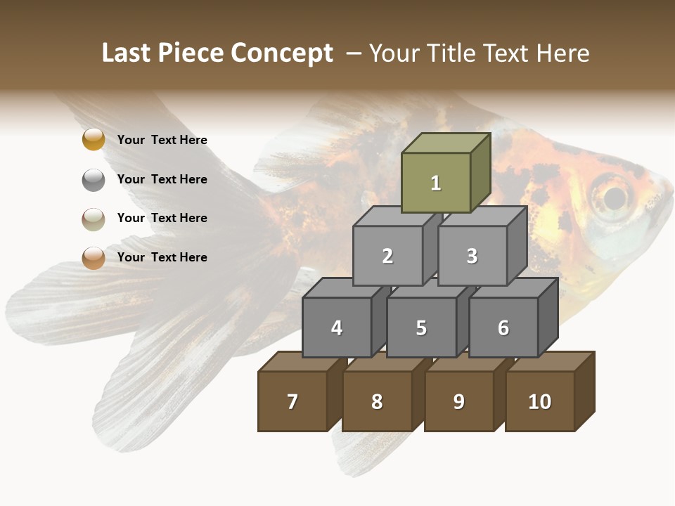 Animal Background Motion PowerPoint Template