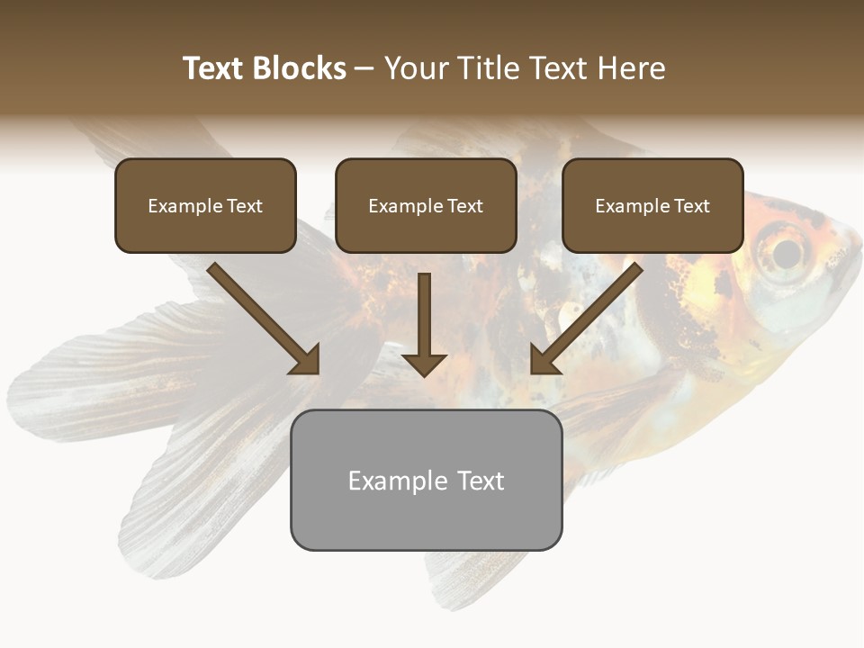 Animal Background Motion PowerPoint Template